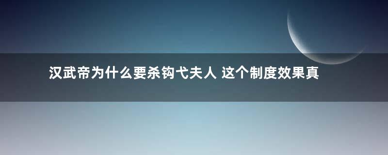 汉武帝为什么要杀钩弋夫人 这个制度效果真的很好吗